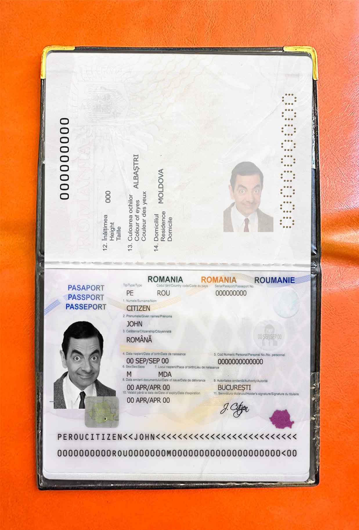 Romania passport photo look PSD template